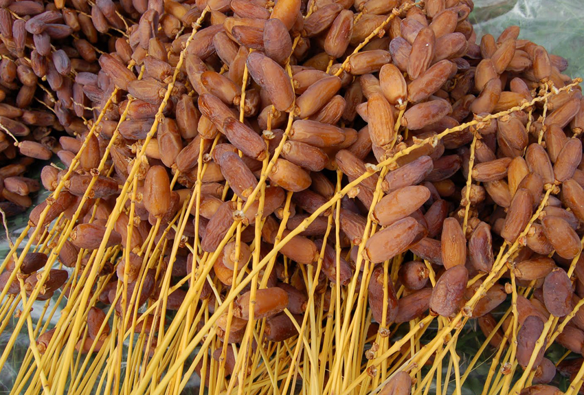 Dattes : 70.000 tonnes à importer pour stabiliser les prix durant Ramadan