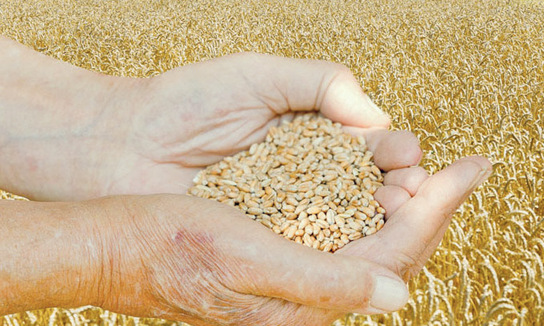 Produits alimentaires : les prix atteignent leurs plus hauts niveaux historiques (FAO)