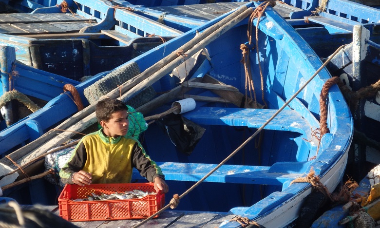 Maroc : 148.000 enfants de 7-17 ans exercent une activité économique (HCP)