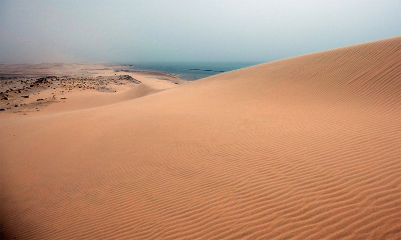 «Oasis Into The Wild» : la première édition à Dakhla